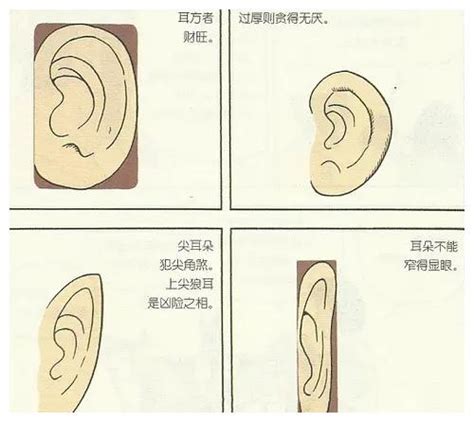 大耳 面相|十六种耳朵面相图文分析三六风水网